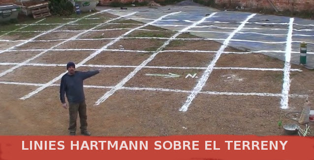 hartman3.jpeg